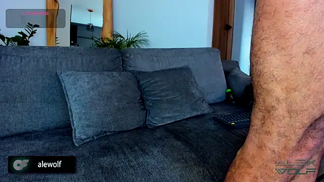 alex wolf  online show from February 25, 2026, 10:19 pm