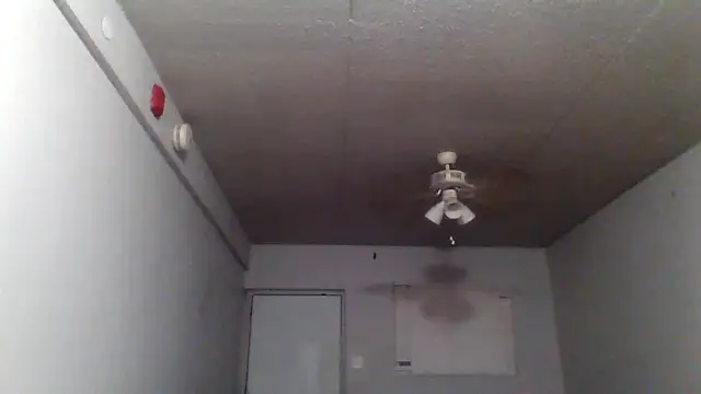 Snapshot of bigdick5157 chatting on October 7, 2025, 10:56 am bigdick5157 online show from October 7, 2025, 10:56 am