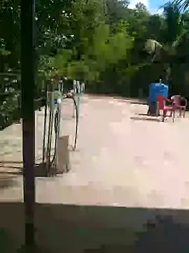 Mafiya1604 online show from September 25, 2025, 9:46 am