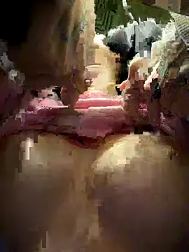 Melissa crazy online show from November 20, 2025, 3:23 pm