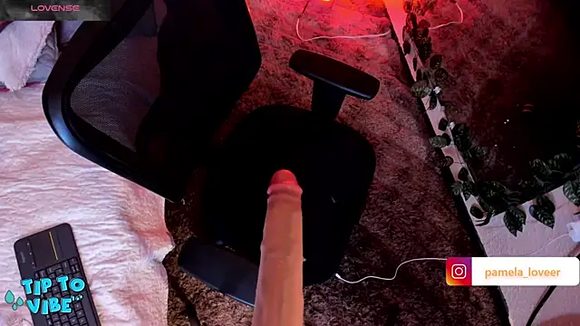 Snapshot of pamela_bell chatting on February 3, 2025, 8:57 pm pamela bell online show from February 3, 2025, 8:57 pm