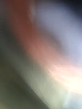 Snapshot of jasss-11 chatting on November 4, 2025, 5:23 pm jasss-11 online show from November 4, 2025, 5:23 pm