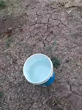 Ajith mvi online show from June 6, 2026, 12:32 pm