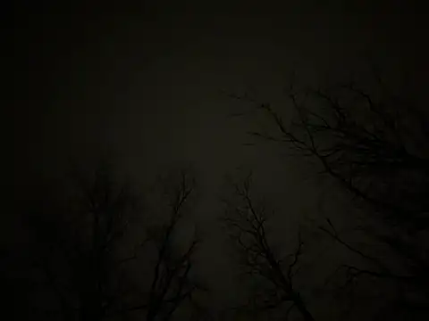 watermellonpussy online show from March 23, 2025, 6:37 am