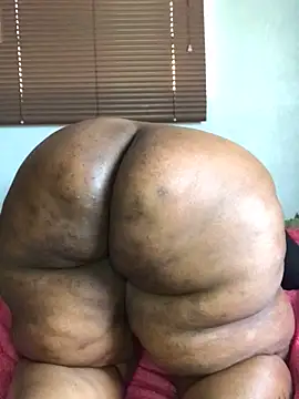 sotho ssbbw online show from May 28, 2026, 8:22 am