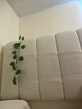 Megan Rodrigo online show from April 6, 2026, 12:50 pm