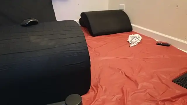 pantslesstraveler plt online show from February 3, 2025, 1:52 am