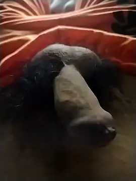 Luiz 097 online show from January 19, 2026, 5:22 am