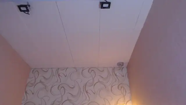 LiaHarryis online show from March 15, 2025, 1:07 pm