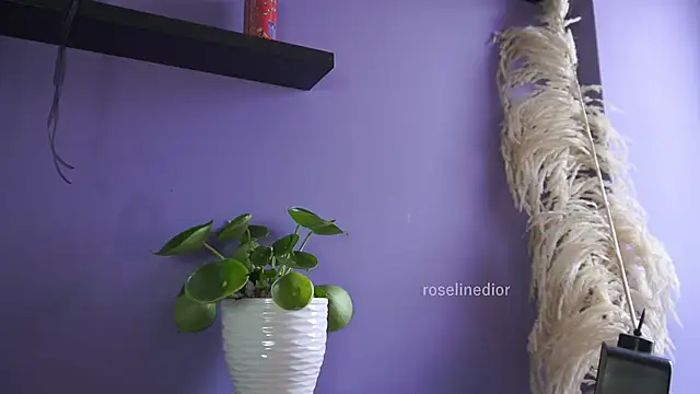 roselinedior online show from May 20, 2026, 4:24 pm