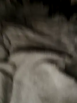 Snapshot of Tigerhill2023 chatting on October 27, 2025, 9:13 am Tigerhill2023 online show from October 27, 2025, 9:13 am