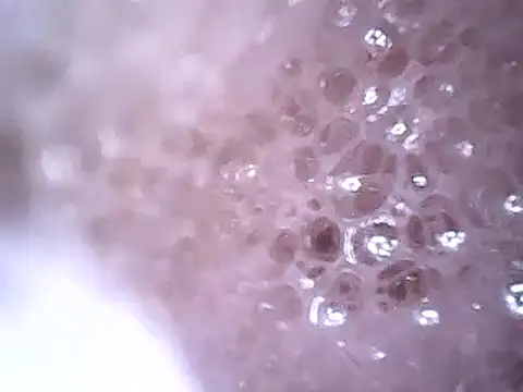 Snapshot of Beijing2000 chatting on December 19, 2024, 2:45 am Beijing2000 online show from December 19, 2024, 2:45 am