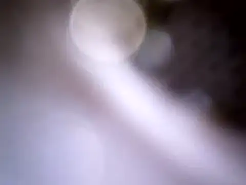 Snapshot of Beijing2000 chatting on January 14, 2025, 4:04 am Beijing2000 online show from January 14, 2025, 4:04 am