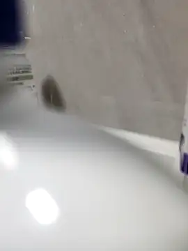 Beijing2000 online show from March 27, 2026, 11:32 am