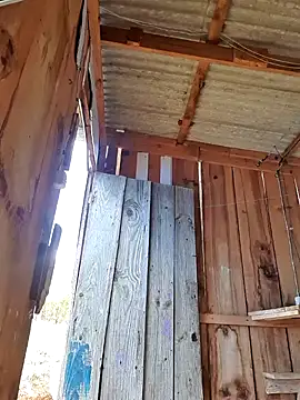 fernandes v online show from January 25, 2025, 4:03 pm