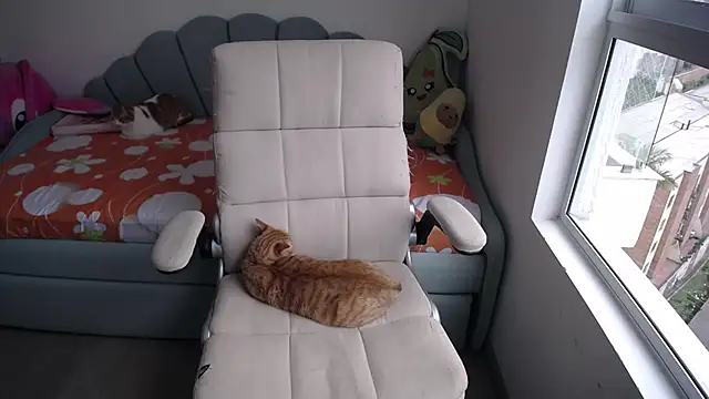  arianalzate  online show from January 29, 2025, 8:04 pm