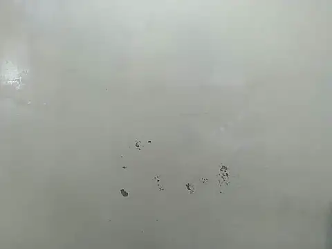 Rasta tattooed online show from March 19, 2026, 6:17 am