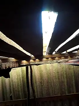 HotSexyBoudi online show from September 29, 2025, 8:41 am