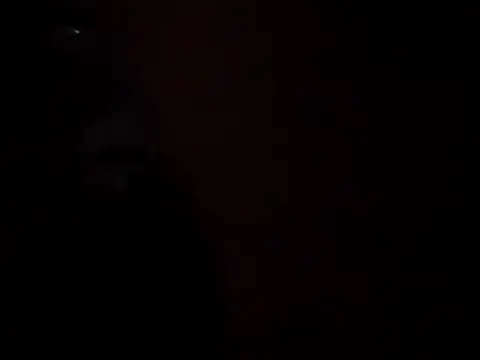 WilldoPita online show from November 5, 2025, 10:48 am