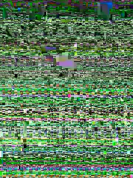 Snehameowwxh online show from November 21, 2025, 4:16 pm