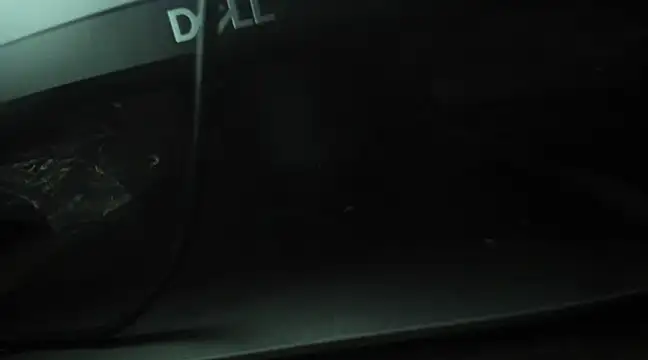 Emma-Wilson online show from February 4, 2025, 10:54 am