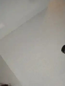 xWhoreAbleX Pika online show from November 30, 2025, 3:16 pm