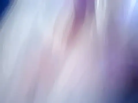 MagicAdmiralty5 online show from February 22, 2026, 9:08 am