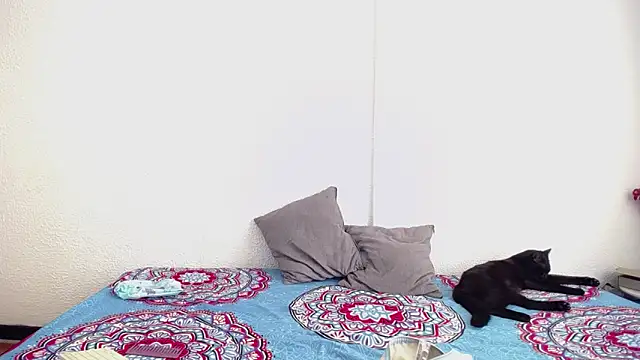  joanne and oliver  online show from September 17, 2025, 5:14 pm