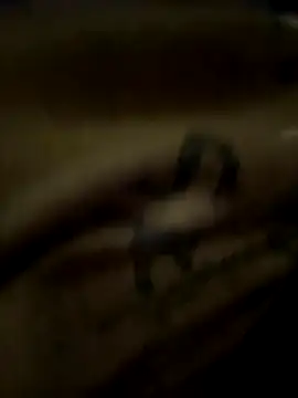 eveangelll online show from October 21, 2025, 3:51 am