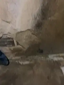 Snapshot of s1437jdjjddjjshbx chatting on March 9, 2025, 9:35 am s1437jdjjddjjshbx online show from March 9, 2025, 9:35 am