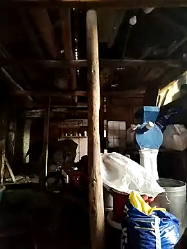 Sarpe84 online show from January 19, 2025, 5:48 am