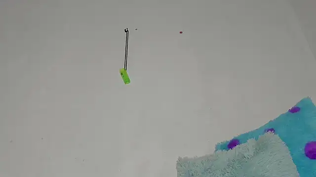 sebas rose online show from December 11, 2024, 12:44 am