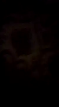 Snapshot of WreckedCrop chatting on March 2, 2025, 8:29 pm WreckedCrop online show from March 2, 2025, 8:29 pm