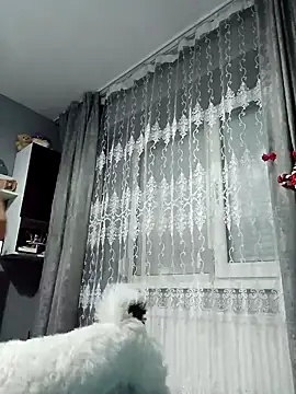 Snapshot of MikySWeet7 chatting on December 27, 2024, 7:24 pm MikySWeet7 online show from December 27, 2024, 7:24 pm