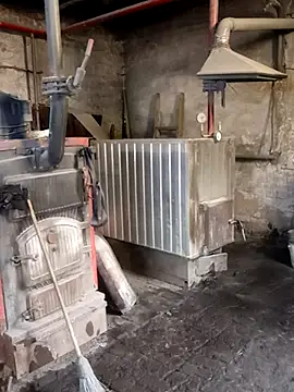 MityaXLoves online show from April 13, 2026, 5:46 am