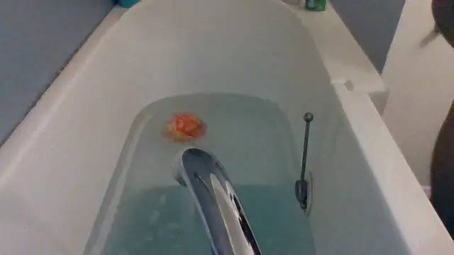 Houstonslong1 online show from February 11, 2025, 8:26 am