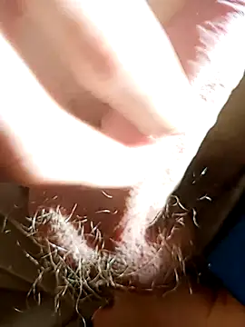 Snapshot of NudeYogaBoy chatting on January 7, 2025, 12:31 pm NudeYogaBoy online show from January 7, 2025, 12:31 pm