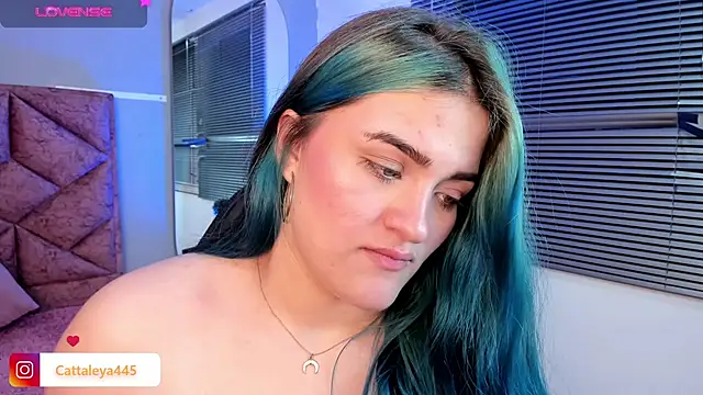 Snapshot of cattaleya___ chatting on February 11, 2025, 7:02 am cattaleya    online show from February 11, 2025, 7:02 am
