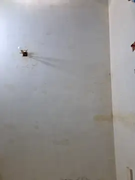 Snapshot of Derry_Cooper chatting on February 8, 2026, 6:55 pm Derry Cooper online show from February 8, 2026, 6:55 pm