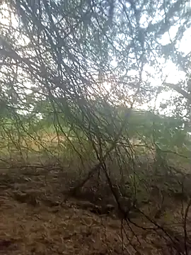 lovesuna online show from September 30, 2025, 1:32 am