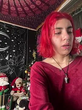  Artemisa X online show from December 10, 2024, 5:00 pm