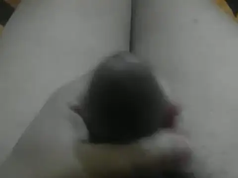 wixssam online show from January 3, 2025, 8:43 am