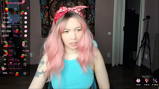 Project hisoka online show from April 14, 2026, 2:50 am