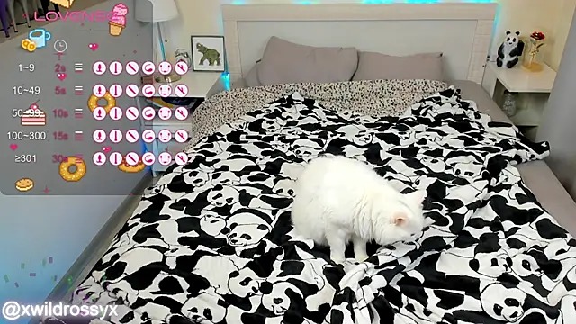 wildrossy online show from October 15, 2025, 6:24 am