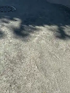 Public sexyxxx online show from September 9, 2025, 12:48 pm