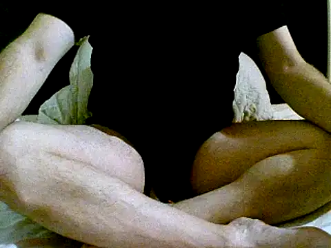 Snapshot of pollarikaaa chatting on December 2, 2024, 4:42 am pollarikaaa online show from December 2, 2024, 4:42 am