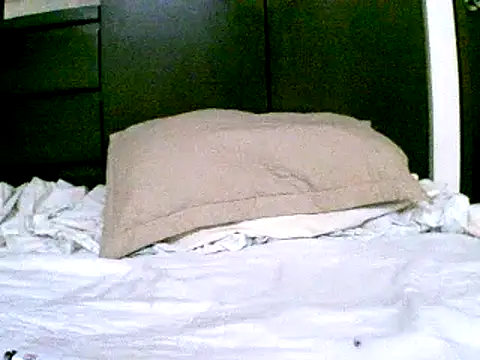 Snapshot of pollarikaaa chatting on December 18, 2024, 9:51 pm pollarikaaa online show from December 18, 2024, 9:51 pm