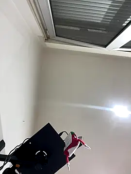 Snapshot of Kamaleonix chatting on December 16, 2025, 10:26 pm Kamaleonix online show from December 16, 2025, 10:26 pm