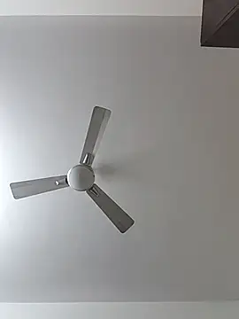 Manboobs178 online show from February 11, 2026, 12:10 pm