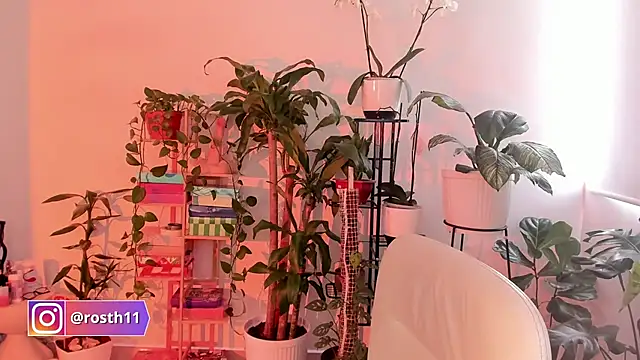 Snapshot of rossth1 chatting on October 24, 2025, 7:43 pm rossth1 online show from October 24, 2025, 7:43 pm